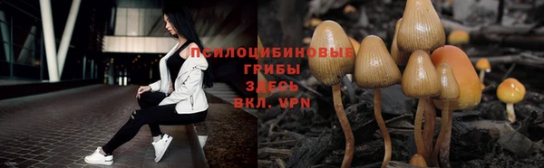 прущая мука Няндома