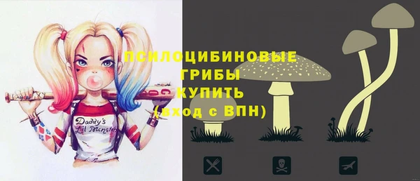 прущая мука Няндома