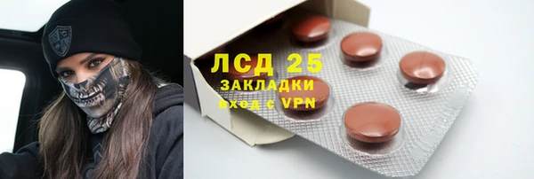 ГАЛЛЮЦИНОГЕННЫЕ ГРИБЫ Осинники