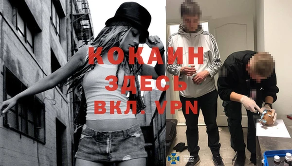 прущая мука Няндома