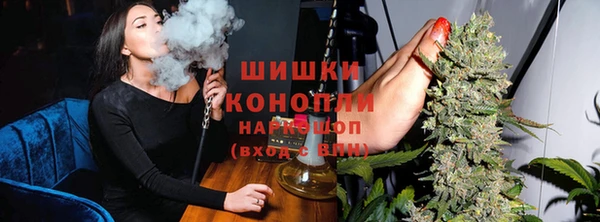 ГАЛЛЮЦИНОГЕННЫЕ ГРИБЫ Осинники