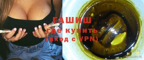 ГАЛЛЮЦИНОГЕННЫЕ ГРИБЫ Осинники