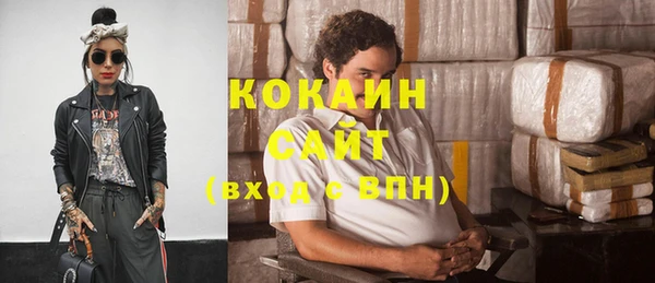 ГАЛЛЮЦИНОГЕННЫЕ ГРИБЫ Осинники