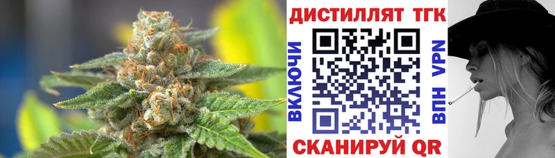 ТГК концентрат  Короча 