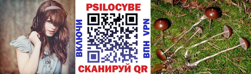 Псилоцибиновые грибы MAGIC MUSHROOMS  OMG ссылка  Короча 