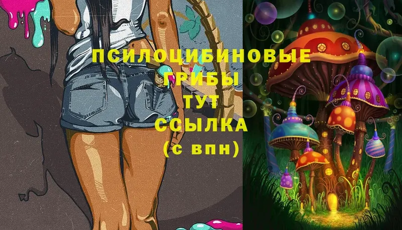 закладки  Короча  Галлюциногенные грибы MAGIC MUSHROOMS 